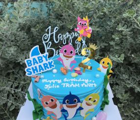 Babyshark Hồng 14