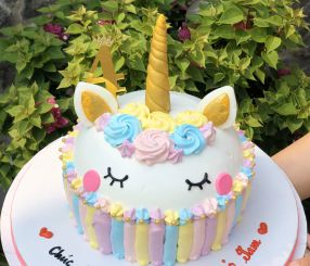 BÉ NGỰA UNICORN CẦU VỒNG 14