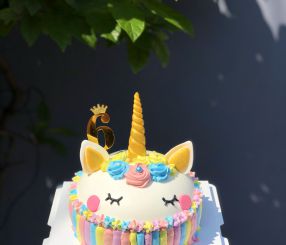 Kỳ lân Unicorn cầu vồng 14 hộp vuông