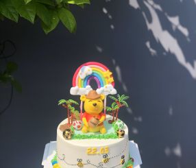 Pooh Teddy 20