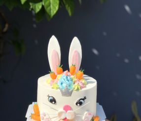 Thỏ Bunny Và Cà Rốt 20