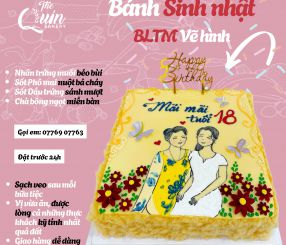 Bánh sinh nhật BLTM vẽ hình 7