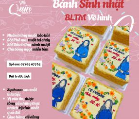 Bánh sinh nhật BLTM vẽ hình 11