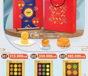 LỄ HỘP HOA HẢO TRĂNG VIÊN