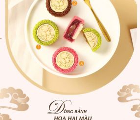 DÒNG BÁNH HOA HAI MÀU