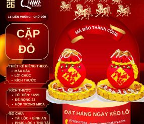 Mã Đáo Thành Công 16 Liễn Vuông-Chữ Đôi Cặp Đỏ