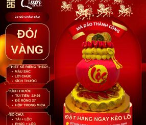 Mã Đáo Thành Công 22 Sò Châu Báu Đỏ Vàng